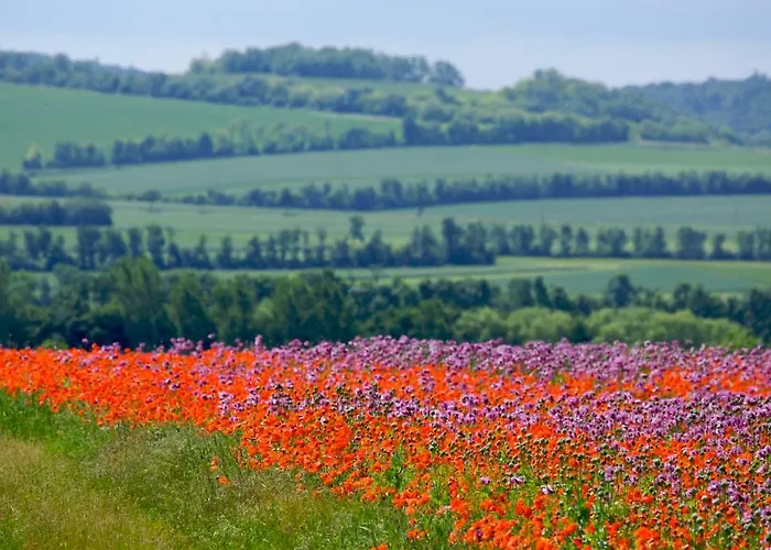 Appartementhaus Thermeneck Lejlighed